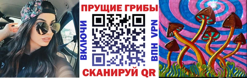 дарк нет наркотические препараты  Псков  Галлюциногенные грибы мухоморы 