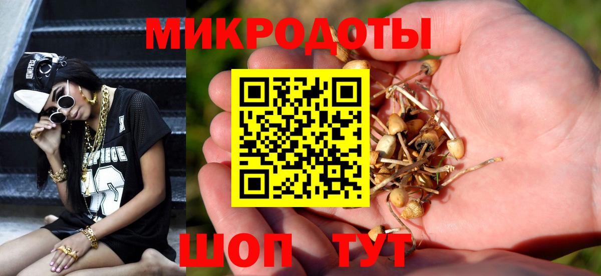 Галлюциногенные грибы MAGIC MUSHROOMS Псков
