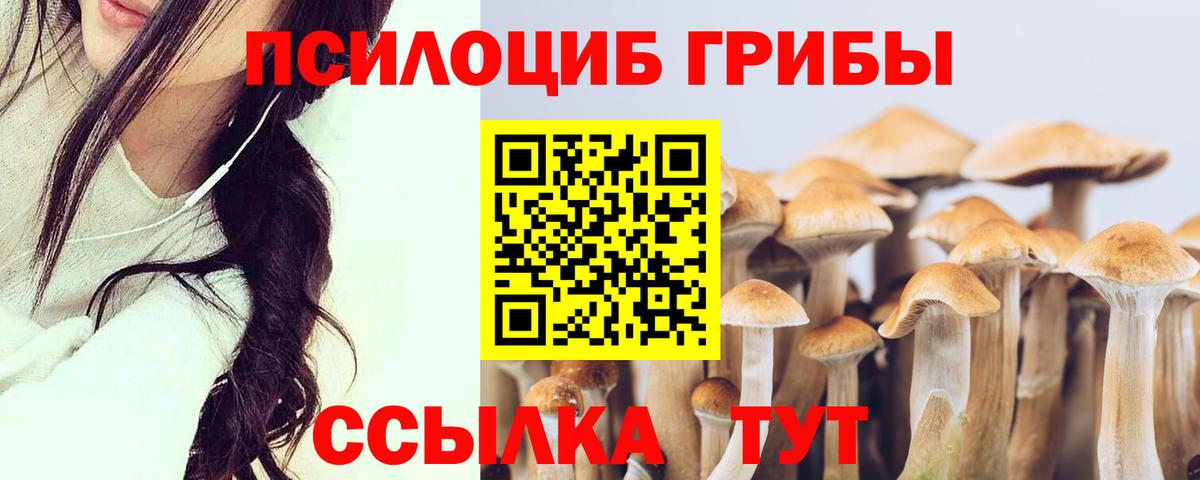 Псков  Псилоцибиновые грибы MAGIC MUSHROOMS  Вход с VPN 